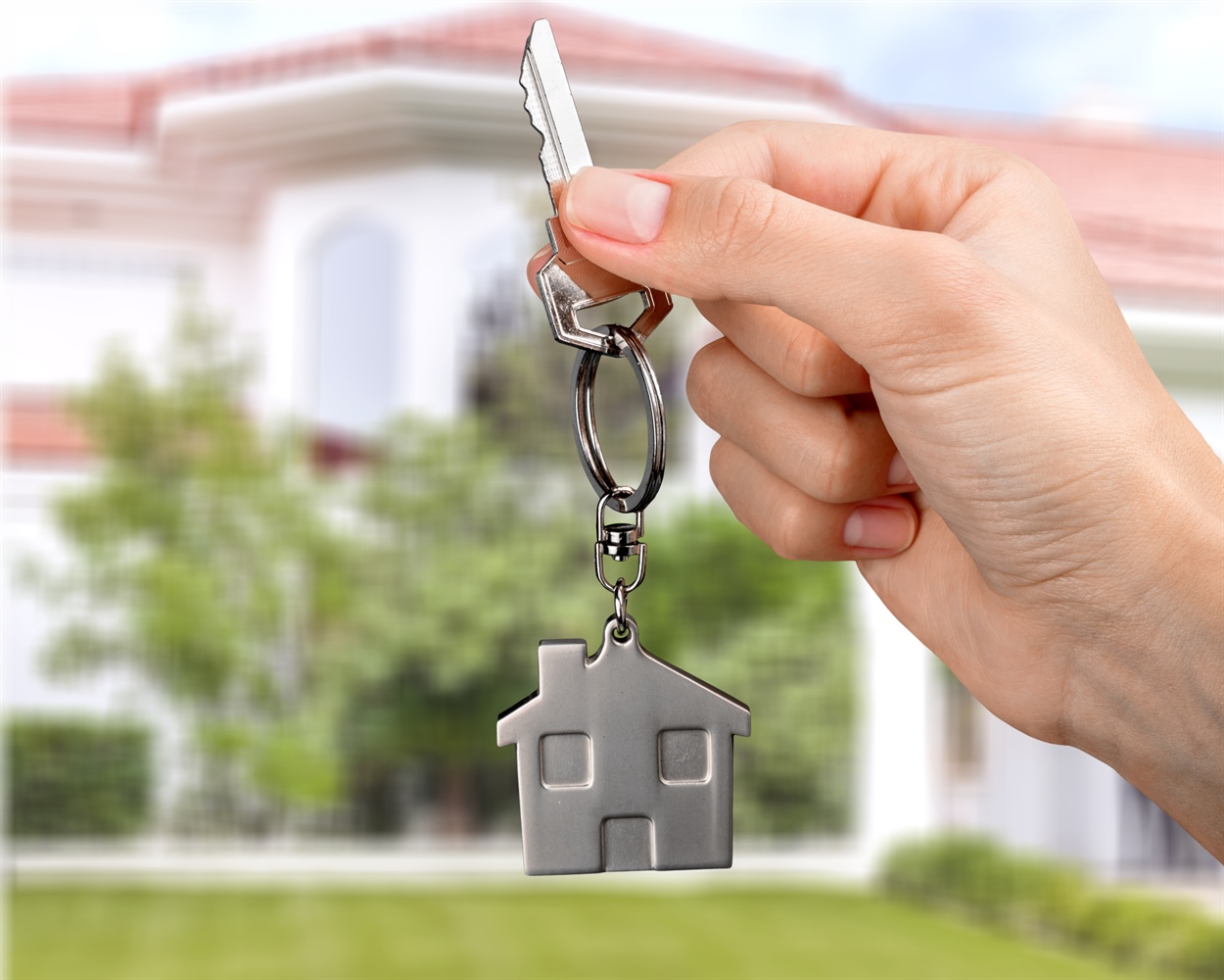 zv casa  agenzia immobiliare